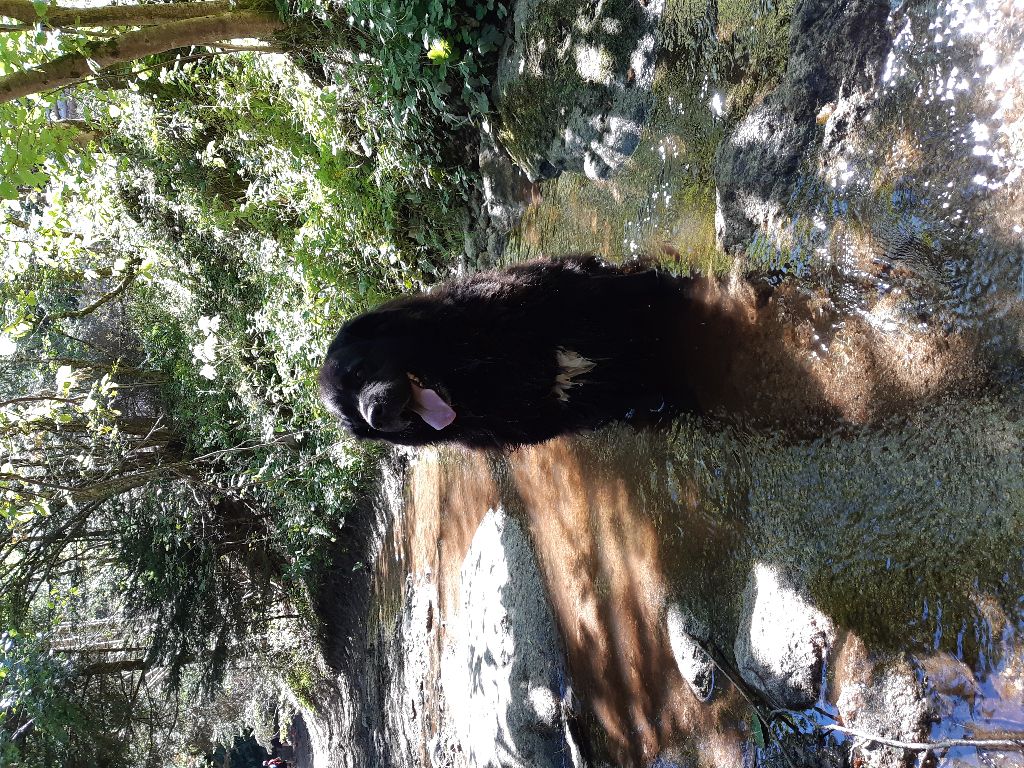 Ikara dite inna des jardins d'artemis