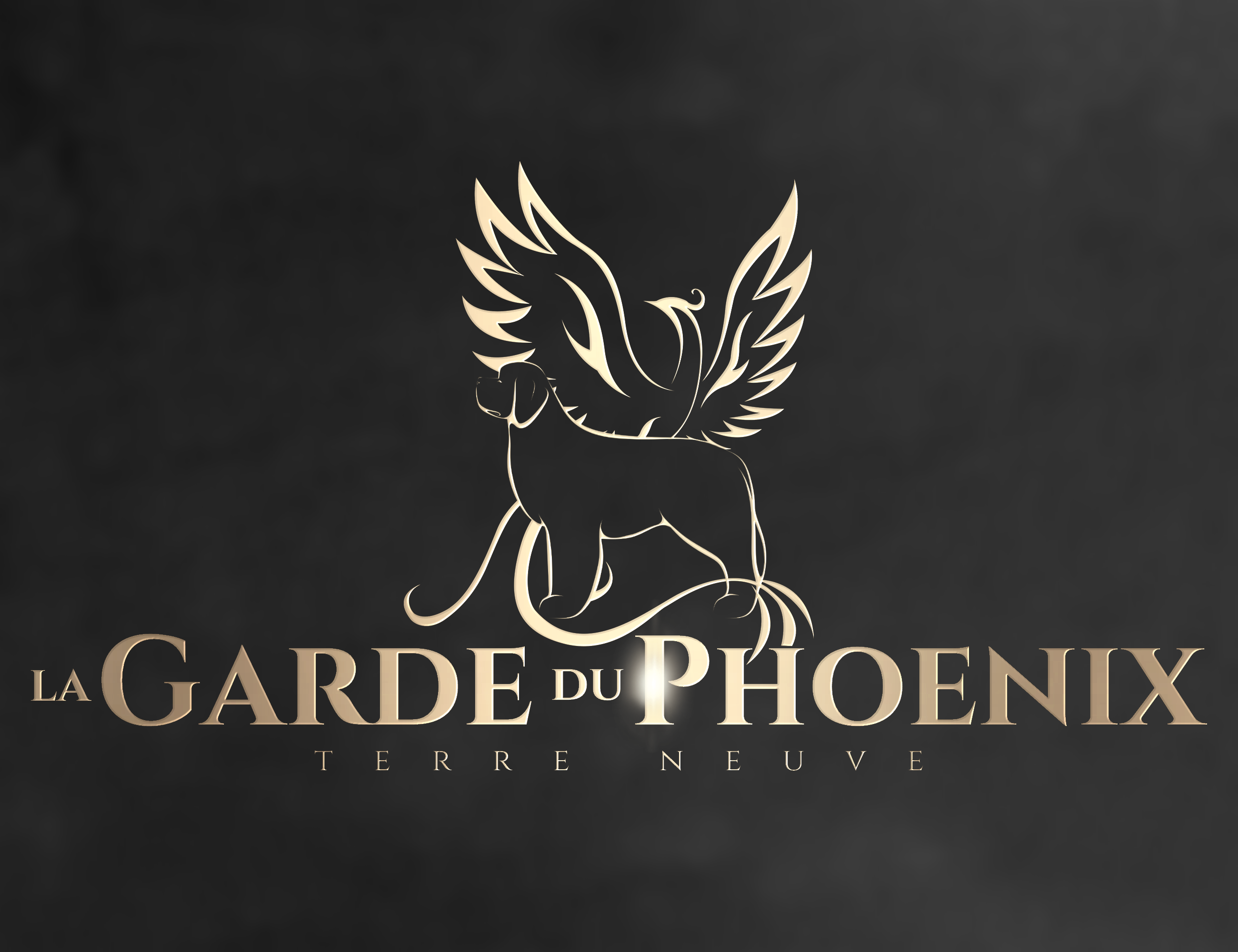 De La Garde Du Phoenix